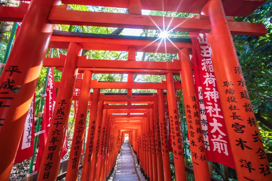 Tokyo: Private Shinto Shrines Tour by Car with Local Guide - Meiji Shrine: Forest Calm in the Middle of Tokyo