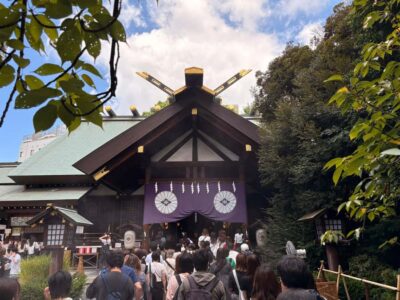 Tokyo: Private Shinto Shrines Tour by Car with Local Guide - Getting Ready: Comfortable Shoes and a Respect-First Mindset