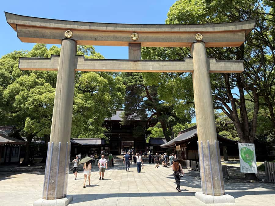 Tokyo: Private Shinto Shrines Tour by Car with Local Guide - Optional Koami Jinja: Small Shrine, Big Protection Belief