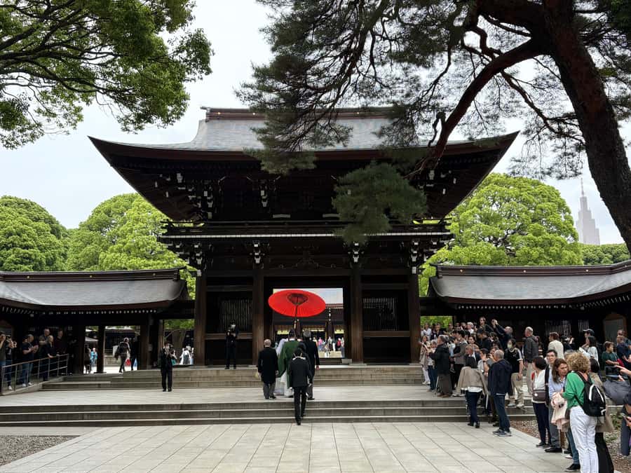 Tokyo: Private Shinto Shrines Tour by Car with Local Guide - Oishi and the Guide Factor: Etiquette, Landmarks, and Flexibility