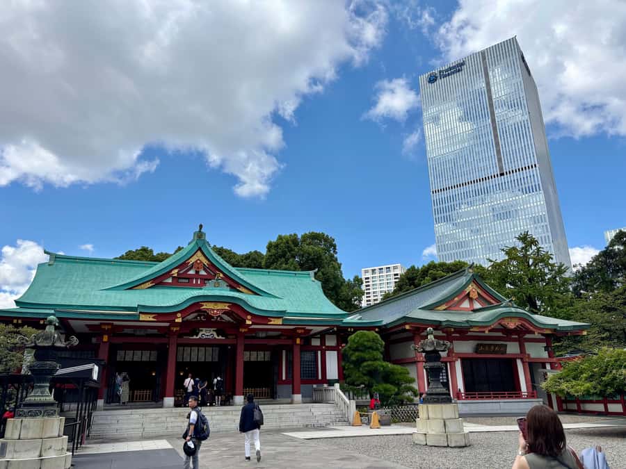Tokyo: Private Shinto Shrines Tour by Car with Local Guide - Goshuin Stamps: Your Keepsake (and a Real Reason to Slow Down)