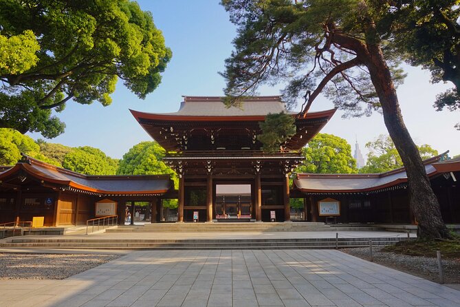 Tokyo Private SightSeeing Day Tour With Guide - Meiji Jingu Shrine: calm in the middle of modern Tokyo