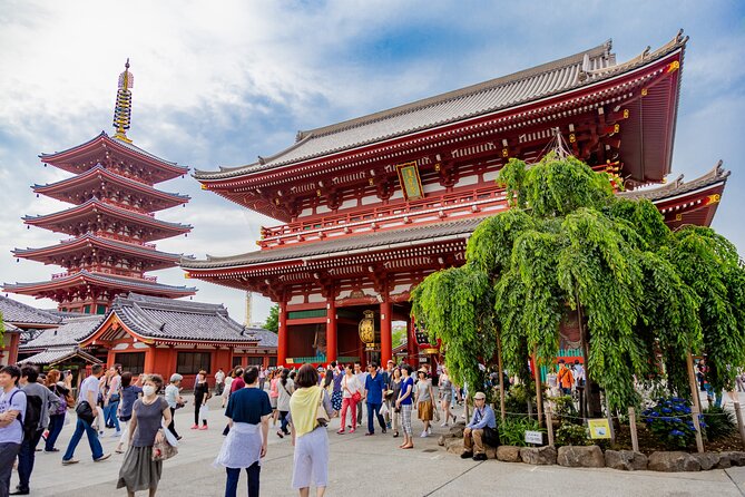 Tokyo Private Sightseeing Tour by Car - English speaking driver - Skytree vs Tokyo Tower: one tall view moment