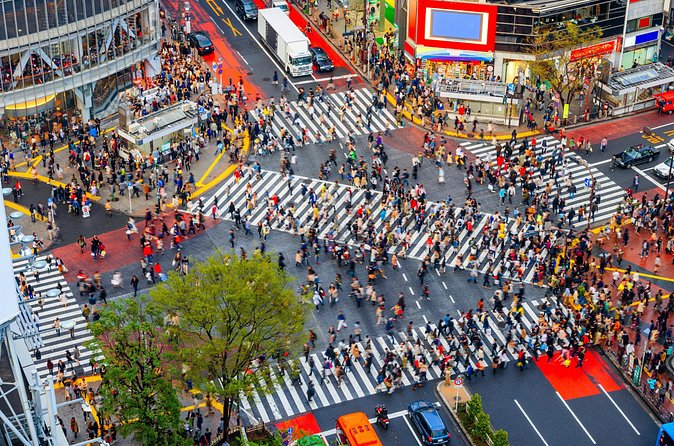 Tokyo Private Sightseeing Tour by Car - English speaking driver - Imperial Palace and Ginza: two very different Tokyo styles