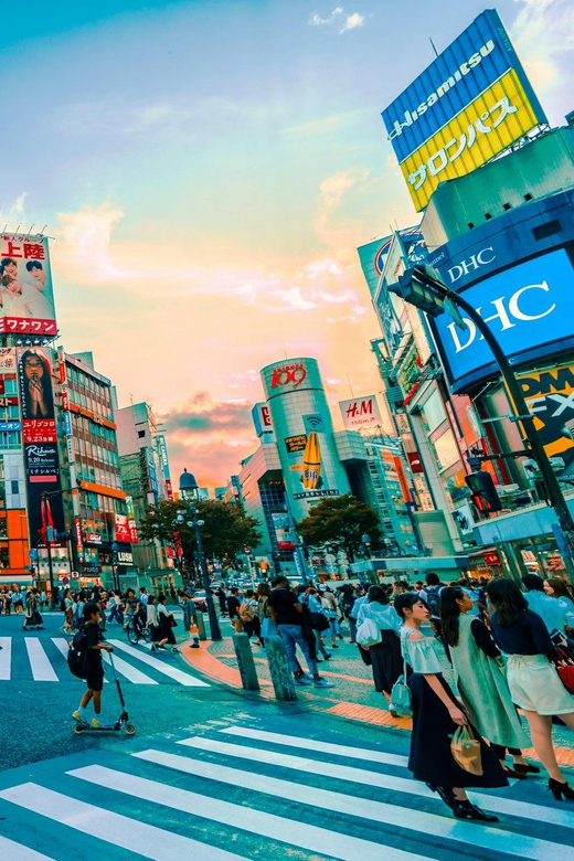 Tokyo: Private Tailored Tour with a Local Guide - Tokyo shortcuts: what makes this private day work