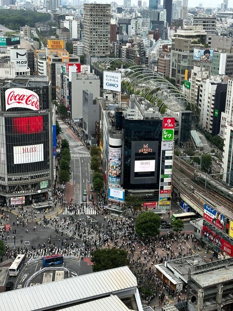 Tokyo: Private Tailored Tour with a Local Guide - Price and value: what $63 really covers (and what it doesn’t)