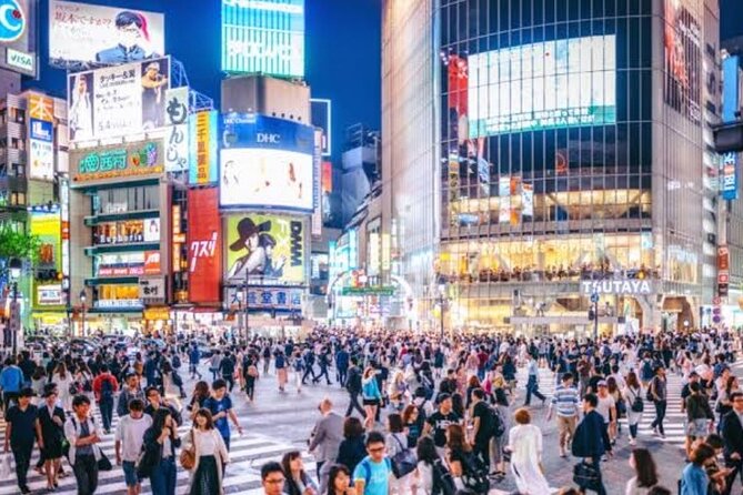Tokyo Private Tour by Car with English speaking driver - Price Per Group: When This Private Car Makes Sense