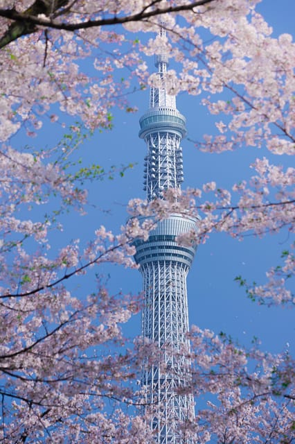 Tokyo private tour by car with pick up - Sensō-ji Temple: an easy first win in Asakusa