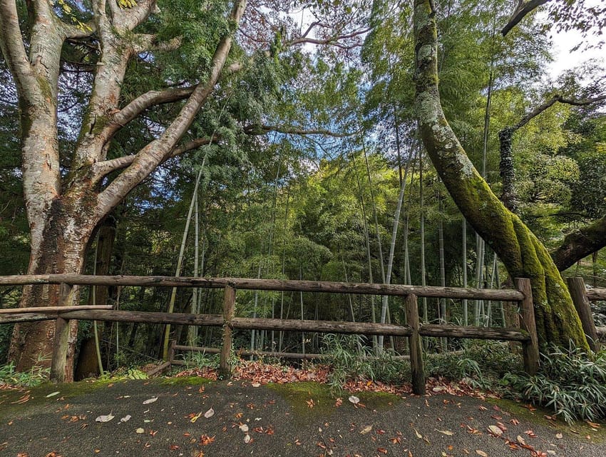 Tokyo private tour by car with pick up - Ueno Park: flexible time for nature, walking, and options