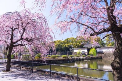 Tokyo Private Tour! Edo Castle & Imperial Palace East Gardens - What you’ll actually see: Edo Castle ruins and the garden highlights
