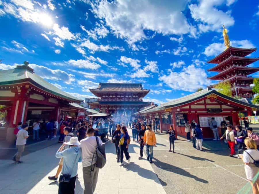 Tokyo Private Tour English Pro Guide By Luxury Vehicle - Key things to know before you go
