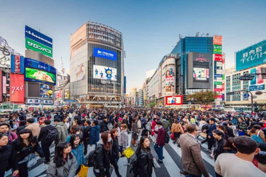 Tokyo Private Tour English Pro Guide By Luxury Vehicle - Tsukiji Fish Market and the Food-Moment Option