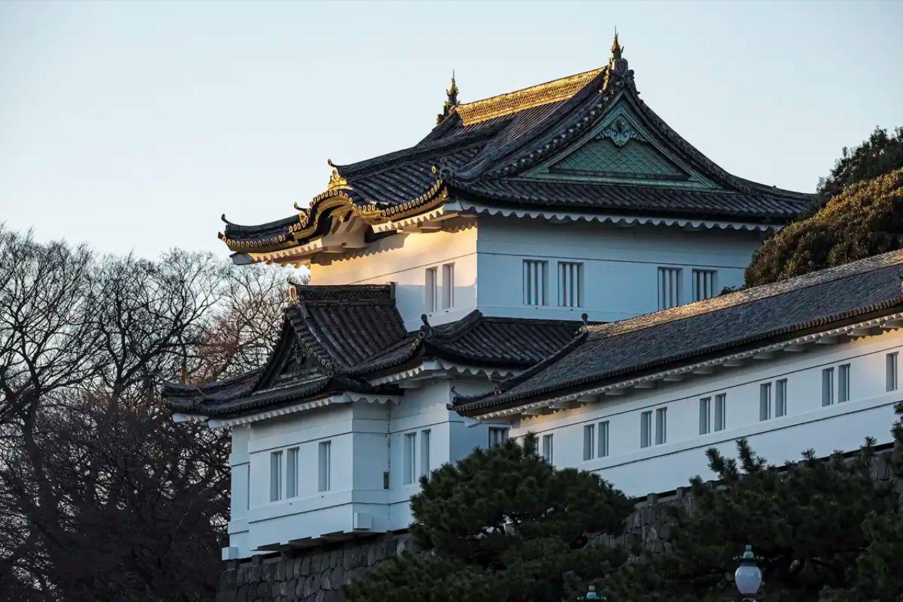 Tokyo Private Tour English Pro Guide By Luxury Vehicle - Shibuya Crossing and Shinjuku: Seeing Tokyo Speed From a Car Window
