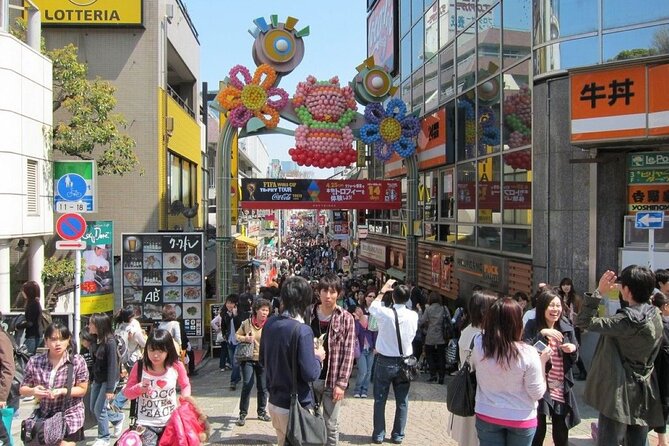 Tokyo Private Tour in Luxury Vehicle with English Guide - Skytree and Tokyo Tower: two skyline styles in one day
