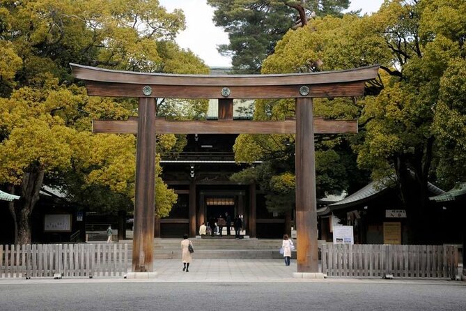 Tokyo Private Tour in Luxury Vehicle with English Guide - Shinjuku Gyoen: the quiet reset you’ll appreciate later
