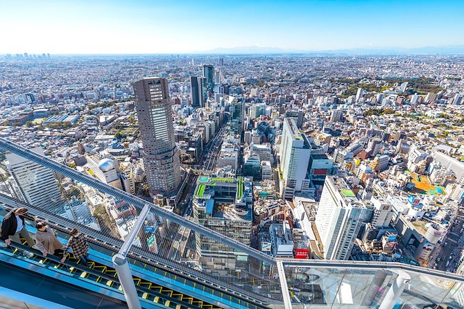 Tokyo Private Tour: One Day Highlights and Optional Shibuya Sky - Key Takeaways Before You Go