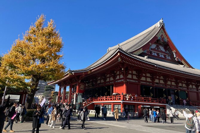 Tokyo Private Tour: One Day Highlights and Optional Shibuya Sky - Shibuya Crossing and Hachiko: The Crowd Without the Panic