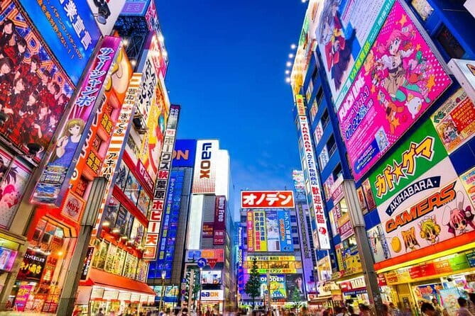 Tokyo Private Tour With English Speaking Driver - Why a private driver changes Tokyo from stressful to simple