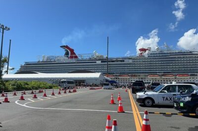 Tokyo Private Transfer for Yokohama Cruise Port - The day before: driver info and the meeting point