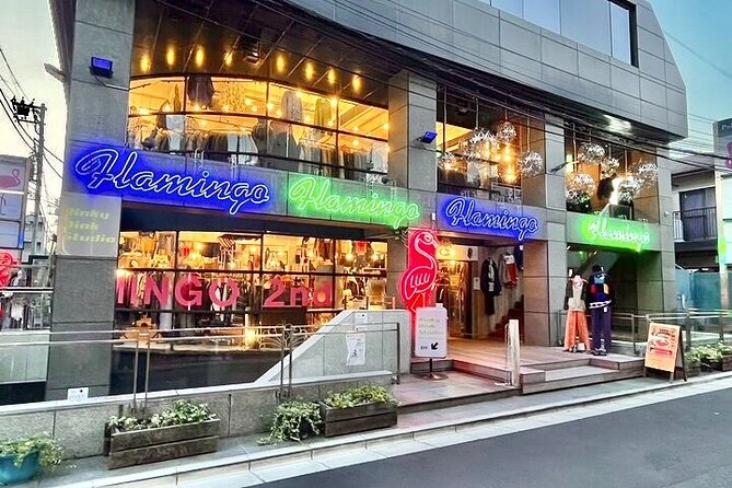 Tokyo Private Vintage Shopping Tour in a Town of youth culture - Why Shimokitazawa Works for Vintage Shopping
