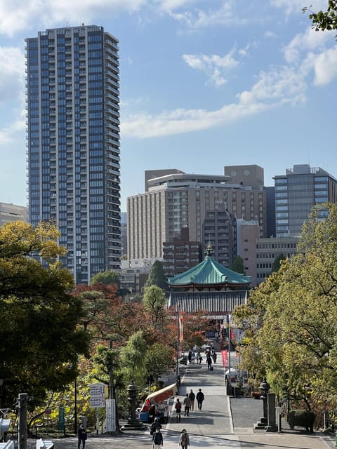 TOKYO Private visit guide Speaking French - Five hours with one guide: the rhythm that keeps it enjoyable