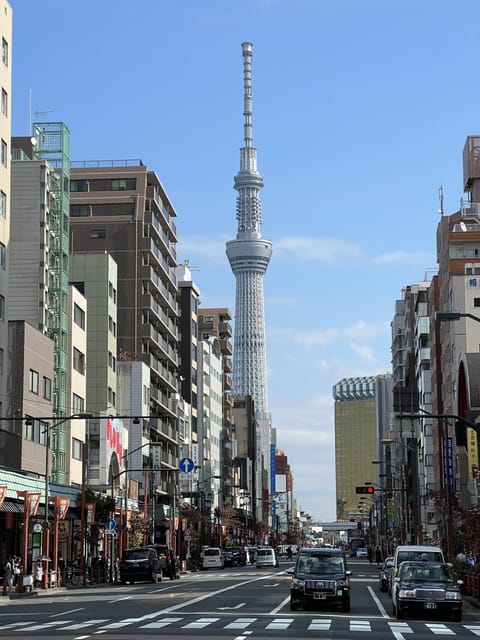 TOKYO Private visit guide Speaking French - Visits, photo stops, and shopping time without the tourist stress