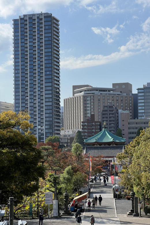 TOKYO Private visit guide Speaking French - Small practical considerations before you book