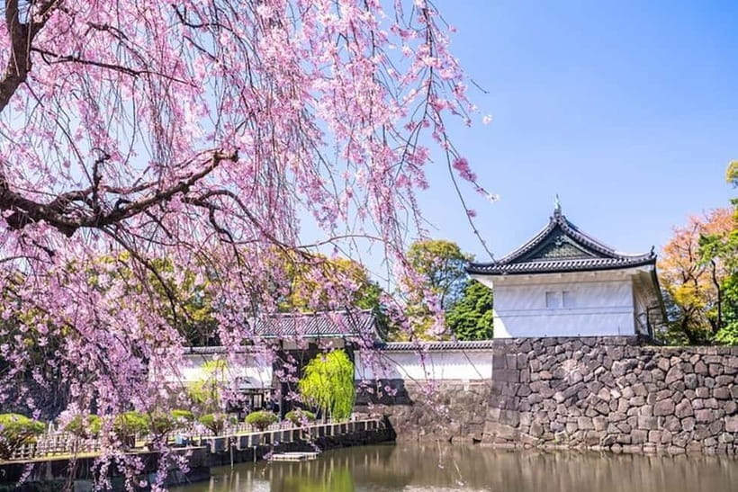 Tokyo: Pvt. Tour - Edo Castle & Imperial Palace East Gardens - Meeting at Wadakura Fountain Park: Find the Guide Without Stress