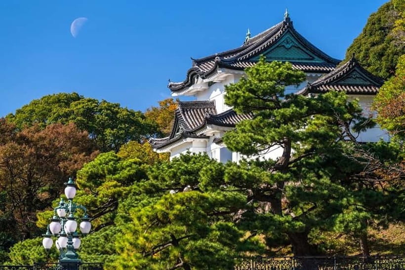 Tokyo: Pvt. Tour - Edo Castle & Imperial Palace East Gardens - Ruins of Edo Castle: Stone Walls, Moats, and the Scale You Can Feel