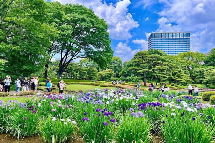 Tokyo: Pvt. Tour - Edo Castle & Imperial Palace East Gardens - The Private-Guide Difference: Pace, English, and Follow-Up Questions