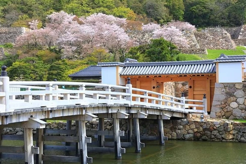 Tokyo: Pvt. Tour - Edo Castle & Imperial Palace East Gardens - Who Should Book This Tour (and Who Might Skip It)