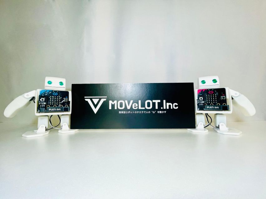 Tokyo: Robot Piloting Attraction Ticket - Practical tips so your 10 minutes feel like 30