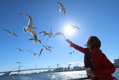 Tokyo: Scenic Bay Cruise with Local Guide on Private Boat - Why this small-boat cruise feels more like a local outing