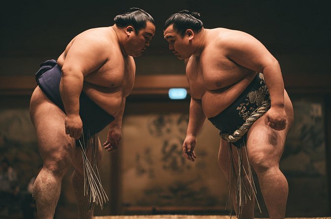 Tokyo Shinjuku Sumo Show and Experience with Drinks and Photo - How long it takes, and how to fit it into your Tokyo plan