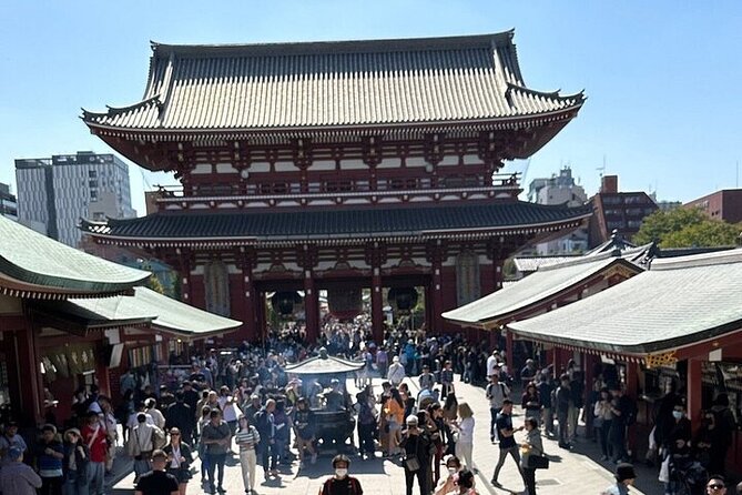 Tokyo Sightseeing/ City Tour by Private Car with English Guide - Private car Tokyo tour: the real value is fewer headaches
