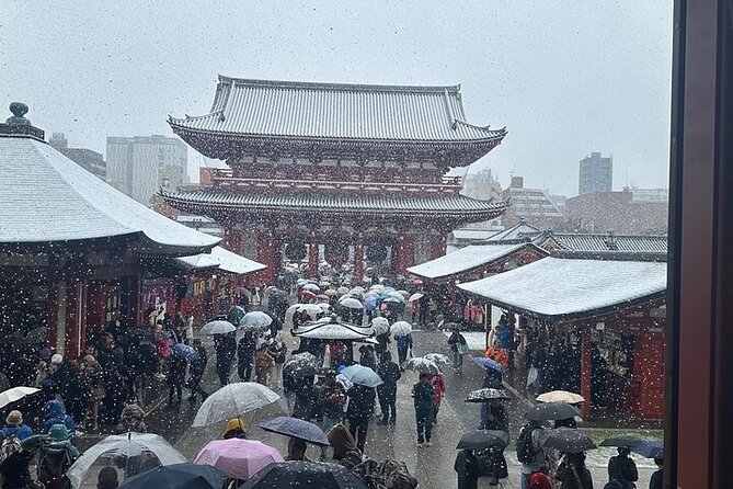 Tokyo Sightseeing/ City Tour by Private Car with English Guide - Who this tour suits best