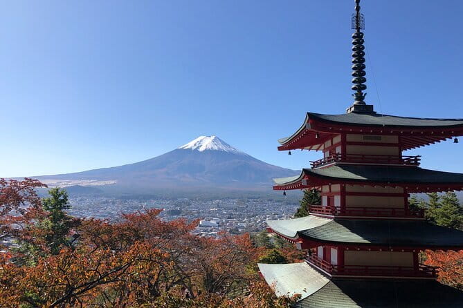 Tokyo Spring Daytime (Cherry Blossom) Food Tour - Light-to-Moderate Walking: How Comfortable Is the Pace?