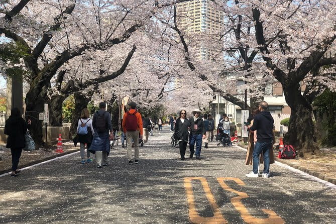 Tokyo Spring Daytime (Cherry Blossom) Food Tour - Coffee Room Renoir: A Calm, Local Start Before the Blossom Walk