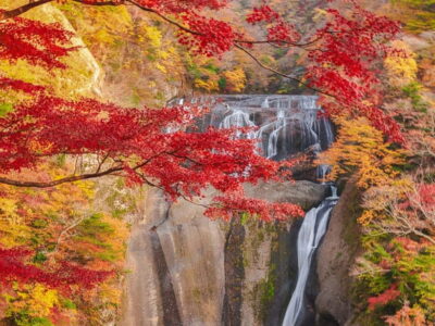 Tokyo: Spring Hitachi Seaside & Ashikaga Flower Park Tour - Hitachi Seaside Park’s Miharashi Hill: The Blue Nemophila Moment