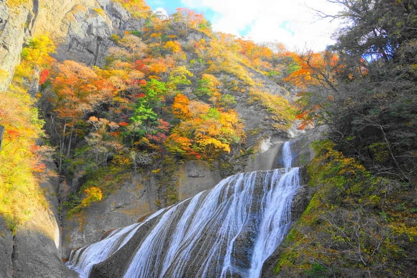 Tokyo: Spring Hitachi Seaside & Ashikaga Flower Park Tour - Who This Tour Fits Best (and Who Should Consider Alternatives)