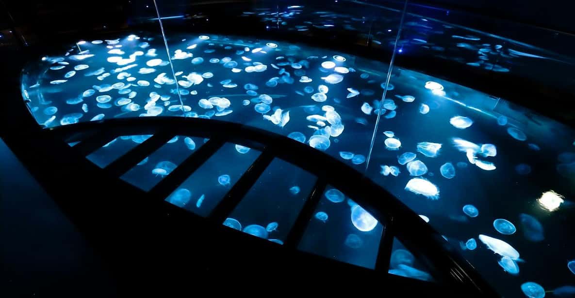 Tokyo: Sumida Aquarium Entry Ticket - Why Sumida Aquarium Feels Like a Tokyo Park, Not a Rush Job