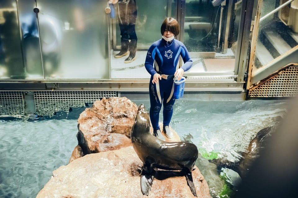 Tokyo: Sumida Aquarium Entry Ticket - Getting the Timing Right: Plan Around One Ticket, One Entry