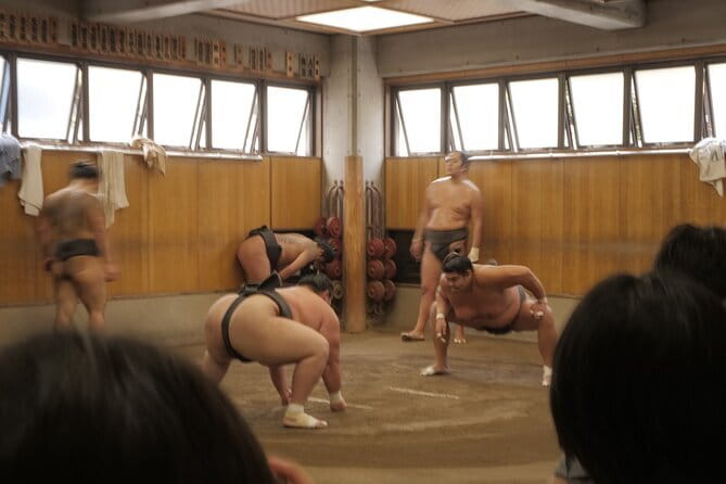 Tokyo Sumo Morning Practice Tour w/ Ring-Side Seat + Photo Shoot - Watching Sumo Practice Up Close (90 Minutes of Real Work)