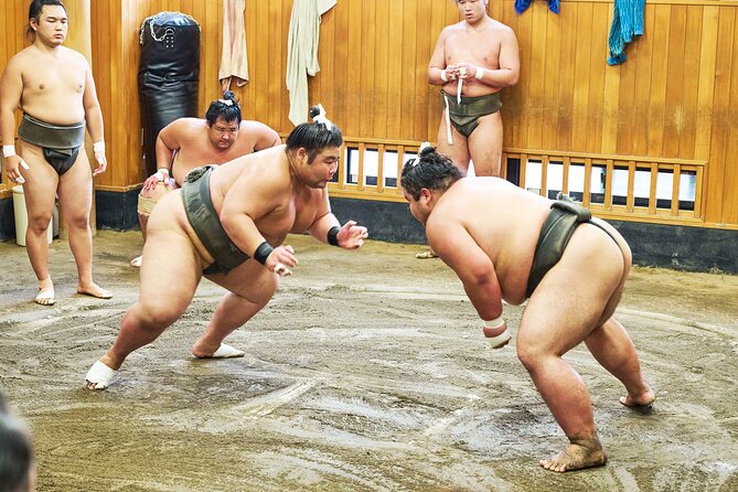 Tokyo: Sumo Morning Practice Viewing Tour at a Real Stable - Key points before you go