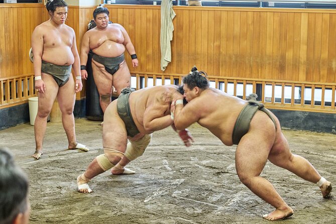 Tokyo: Sumo Morning Practice Viewing Tour at a Real Stable - Why a Tokyo sumo stable tour feels different from a show