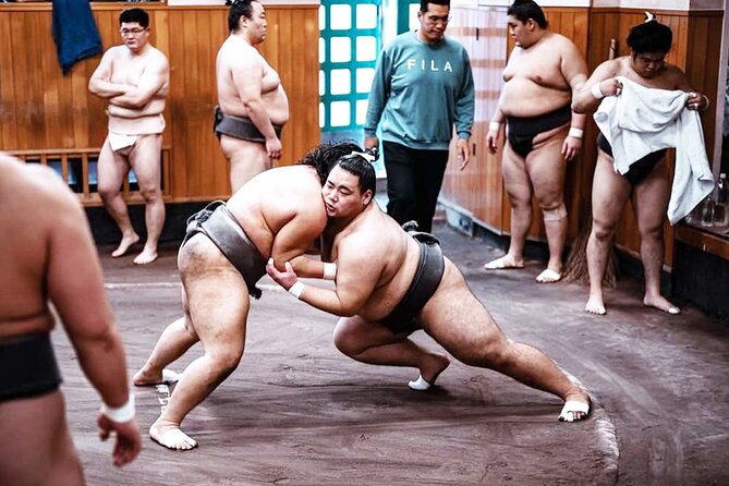 Tokyo: Sumo Morning Practice Viewing Tour at a Real Stable - Price and value: is $98 worth it for a 2-hour morning?