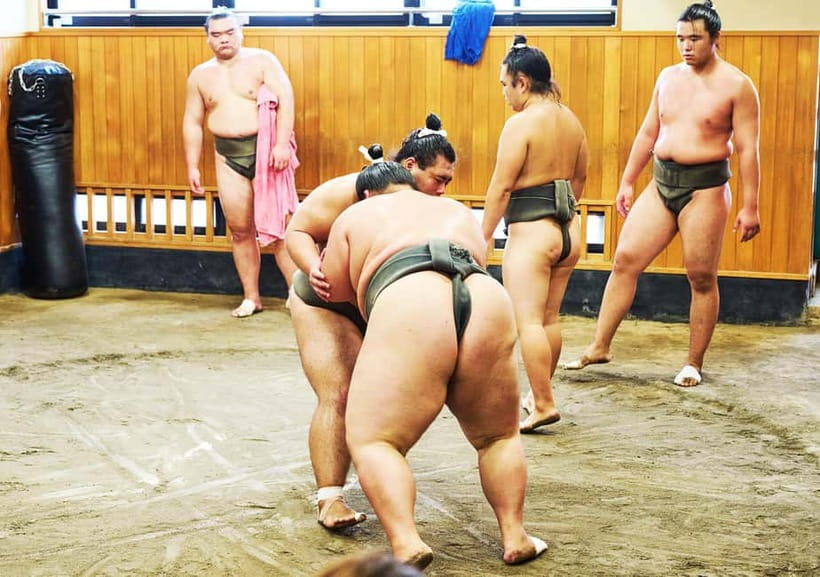 Tokyo: Sumo Morning Practice Viewing Tour at a Real Stable - What to expect on the timeline (and how not to lose your time)
