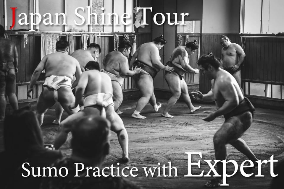 Tokyo: Sumo Morning Practice with journalists. Not fake show - Why a sumo morning practice, not a tourist performance