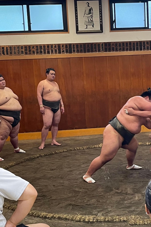 Tokyo: Sumo Morning Practice with Photo Banzuke and Guide - 2.5 hours of chair-level sumo practice: the part you’ll remember