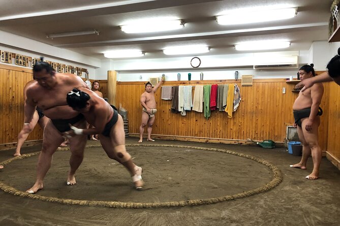 Tokyo Sumo Morning Training/ Sumo Practice with Wrestlers - Who can participate: women, shoes, and the dohyō rules